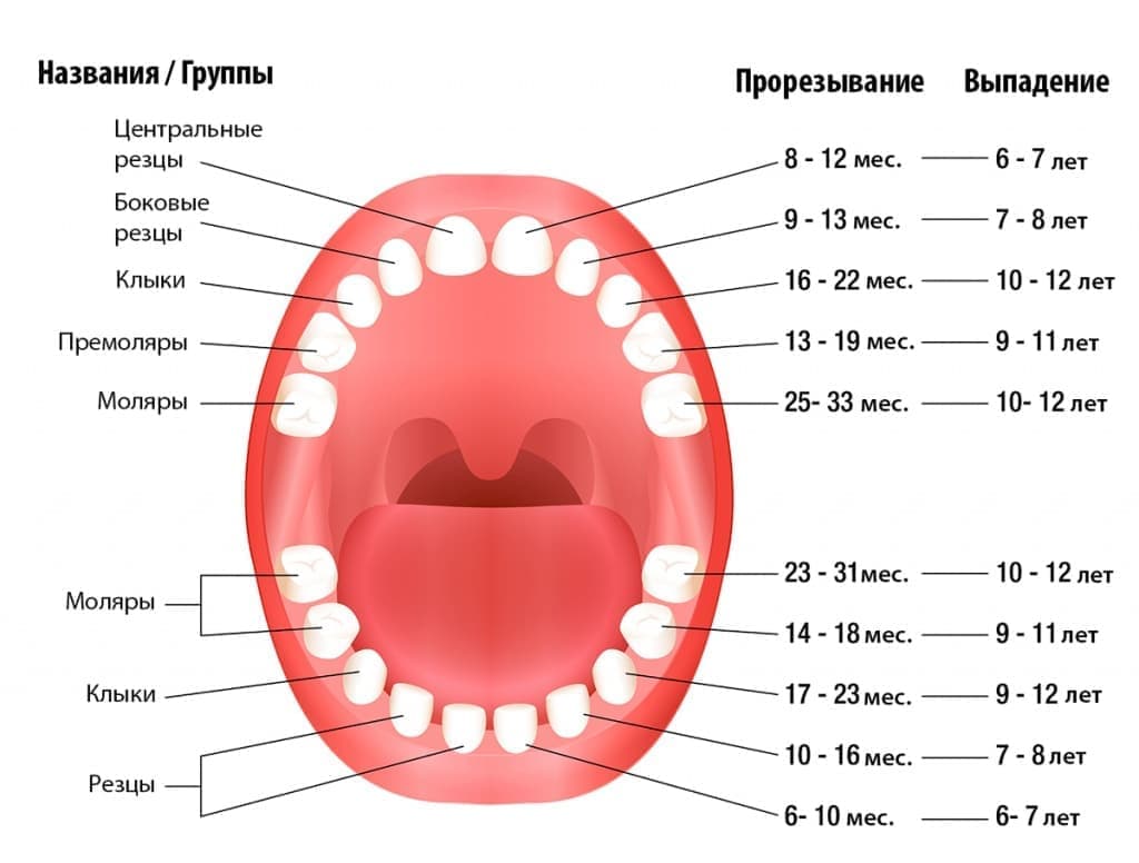 Особенности выпадения молочных зубов у детей.
